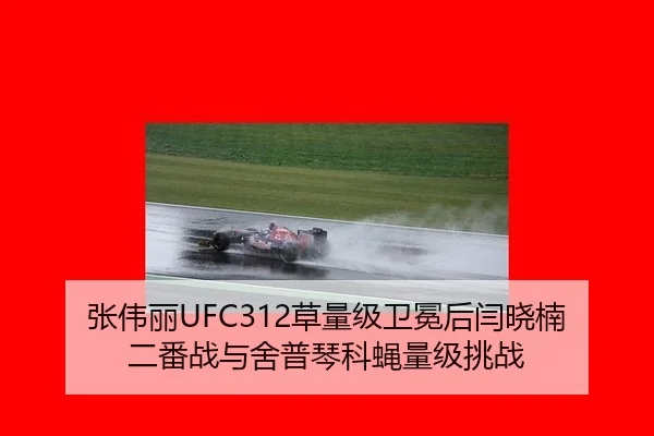 张伟丽UFC312草量级卫冕后闫晓楠二番战与舍普琴科蝇量级挑战