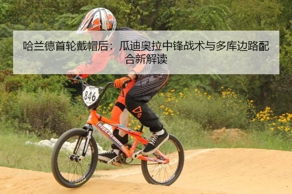 ha-lan-de-shou-lun-dai-mao-hou-gua-di-ao-la-zhong-feng-zhan-shu-yu-duo-ku-bian-lu-pei-he-xin-jie-du-3-401.jpg
