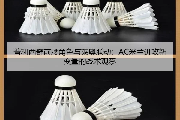 pu-li-xi-qi-qian-yao-jue-se-yu-lai-ao-lian-dong-mi-lan-jin-gong-xin-bian-liang-de-zhan-shu-guan-cha-3-613.jpg